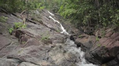 Ormanlarda, tropik şelale.