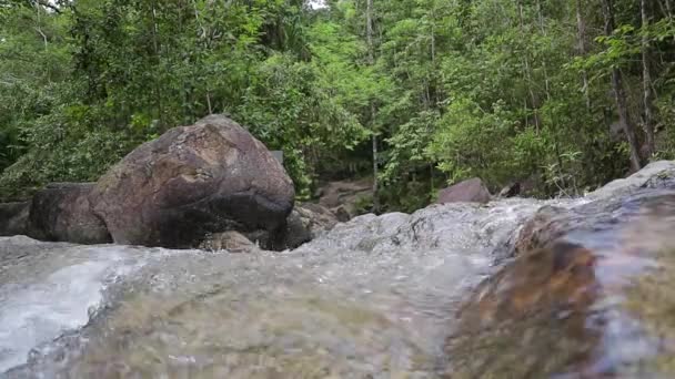 Tropikalnym wodospadem w dżungli. — Wideo stockowe