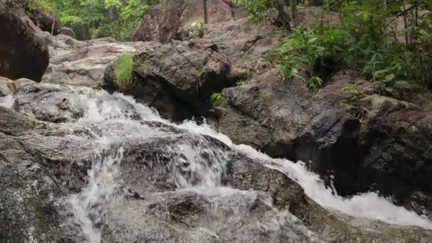 Cascada tropical en las selvas . — Vídeos de Stock