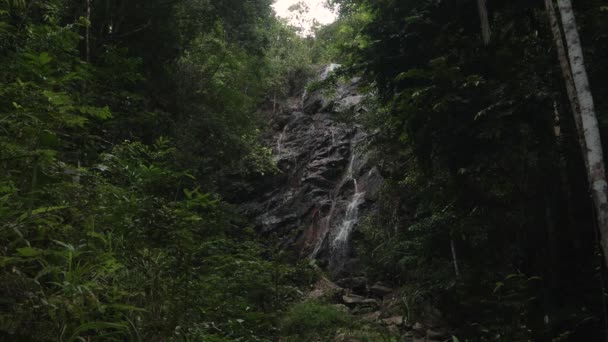 Tropical waterfall at the jungles. — Stock Video