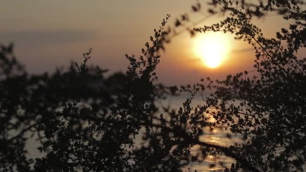 Abstraktní pozadí video krásný západ slunce u moře. — Stock video