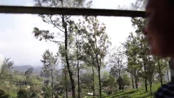 A young woman is travelling Sri-Lanka by train. — Stock Video