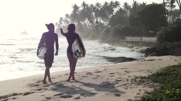İki genç gün batımında sahilde bir sörf tahtası ile yürüyor. — Stok video