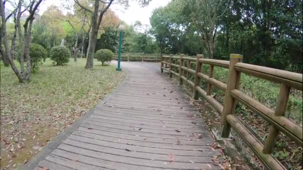 Caminando Por Hermoso Sendero Parque Primavera Disparo Movimiento — Vídeos de Stock