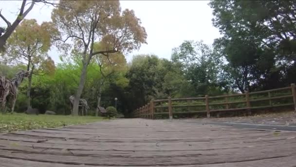 Walking a beautiful path at the spring park. — Stock Video