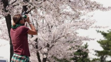 Beyaz serbest gazeteci bir kamera çiçeksi sakura fotoğraflarını çekiyor. Fotoğraf makinesiyle seyahat eden profesyonel bir fotoğrafçı.