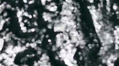 Soyut arka plan görüntüleri. Hareketli bokeh ışıkları lots. Güneşte parlayan deniz yüzeyinin defocused video.