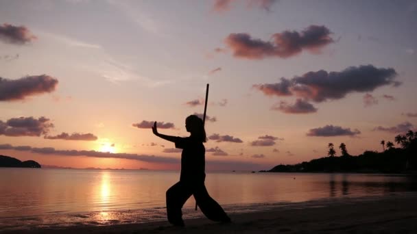 海の背景に棒でカンフー演習をしているビーチで若い強力な女性のシルエット — ストック動画