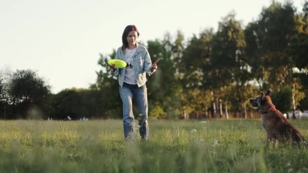 Молодая Женщина Тренирует Свою Собаку Парке Собака Прыгает Спины Женщины — стоковое видео
