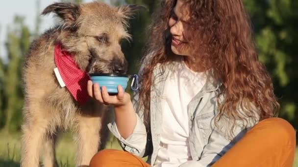 Σκύλος Σβήνει Δίψα Μια Ζεστή Καλοκαιρινή Μέρα Μια Νεαρή Γυναίκα — Αρχείο Βίντεο
