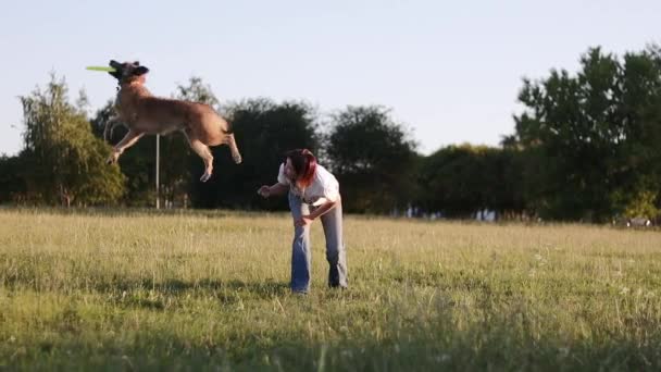 Una Joven Está Entrenando Perro Parque Perro Está Saltando Espalda — Vídeo de stock