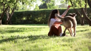 Yaz günü parkta köpeğiyle oynayan genç ve güzel kıvırcık bir kadın.