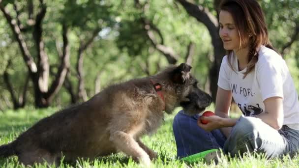 夏天，一个年轻的漂亮女人和她的狗在公园里玩耍 — 图库视频影像