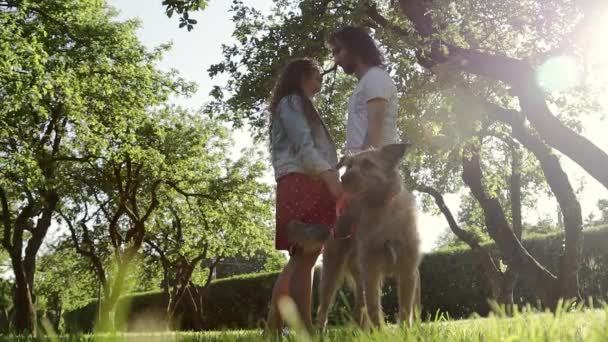 Ein junges schönes Liebespaar spaziert mit ihrem Hund durch den Park — Stockvideo