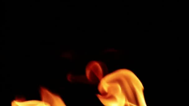 Närbild Flammor Bränning Svart Bakgrund Slow Motion — Stockvideo