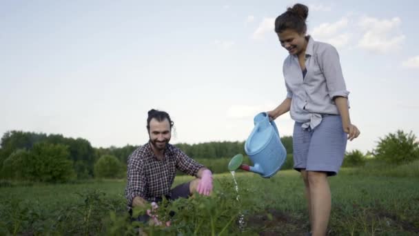 Joven pareja de jardinería en guantes en un jardín al aire libre — Vídeos de Stock