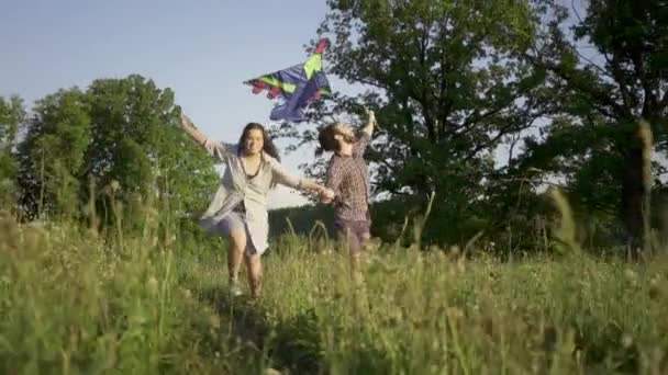 Una joven pareja feliz volando una cometa en un campo de verano — Vídeos de Stock