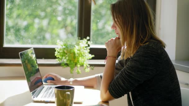 Mujer joven freelancer trabajando en freelance desde casa escribiendo correo electrónico en un ordenador portátil — Vídeos de Stock