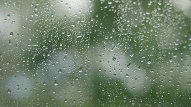 Imagens de close-up de gotas de chuva salpicando contra um vidro de janela com vazamentos de luz . — Vídeo de Stock