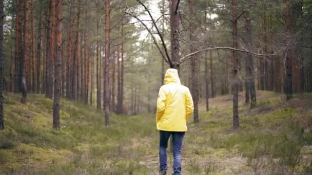 Молода жінка в яскраво-жовтій куртці, що йде в дощовому лісі . — стокове відео