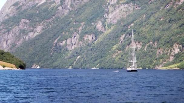 Una grande bella nave che naviga nell'acqua blu del fiordo in Norvegia . — Video Stock