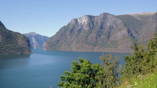 Filmmaterial Wunderschöner Blick Von Oben Auf Den Aurlandfjord Norwegen — Stockvideo