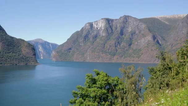 Filmische Beelden Mooie Top Uitzicht Aurlandfjord Noorwegen — Stockvideo