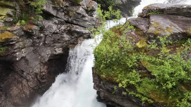 Piccola bella cascata in mezzo a piante verdi in una giornata nuvolosa, Norvegia . — Video Stock