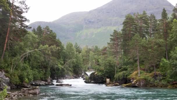 Bulutlu bir günde, yeşil bitkilerin ortasında küçük, güzel bir şelale, Norveç. — Stok video