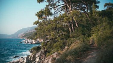 Dalgalı açık mavi deniz manzarası ve çam ağaçlarıyla kayalık deniz manzarası.