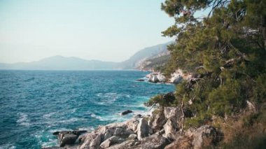 Dalgalı açık mavi deniz manzarası ve çam ağaçlarıyla kayalık deniz manzarası.