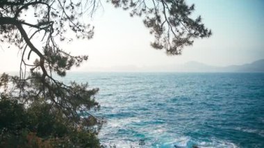 Dalgalı açık mavi deniz manzarası ve çam ağaçlarıyla kayalık deniz manzarası.