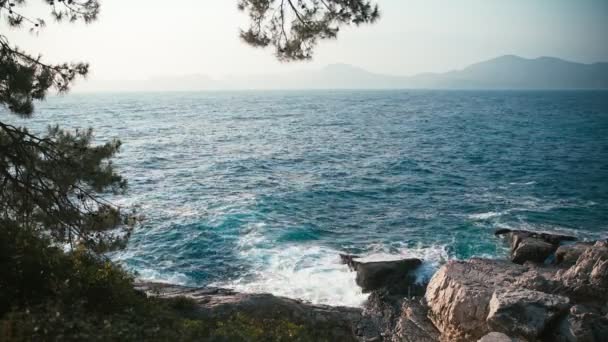 Dalgalı açık mavi deniz manzarası ve çam ağaçlarıyla kayalık deniz manzarası. — Stok video