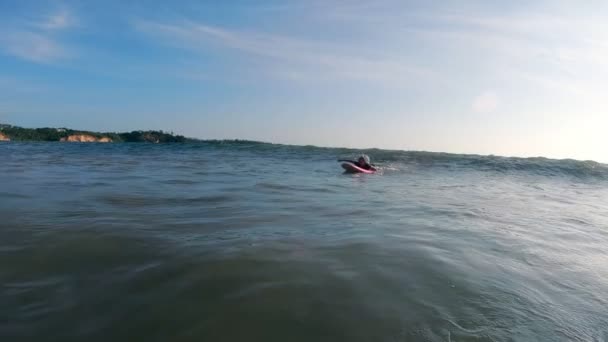 Una joven surfista novata falla mientras intenta atrapar una ola oceánica — Vídeo de stock