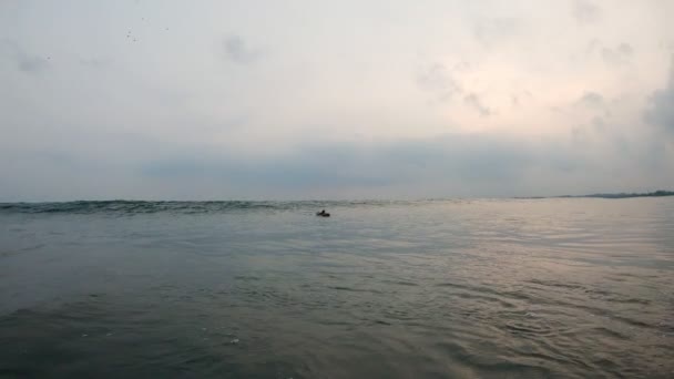 Mujer joven surfista captura una gran ola oceánica en una tabla suave . — Vídeo de stock