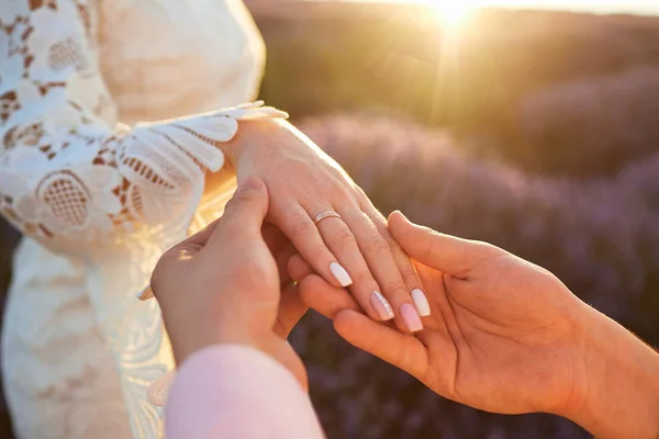Proposta de casamento em um campo de lavanda . — Fotografia de Stock