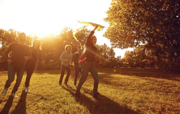 Vrienden met kite uitgevoerd op zonnige weide — Stockfoto