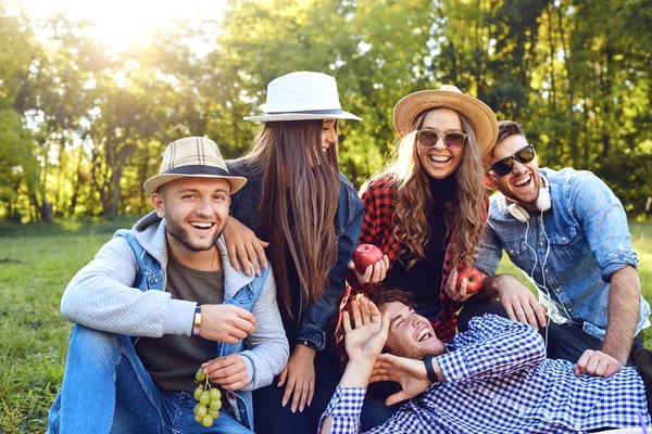 Amigos felices en un picnic en el parque . — Foto de Stock