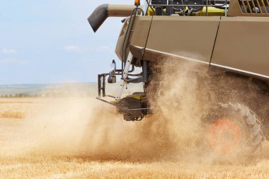 Bir buğday alanında çalışan tarım hasat