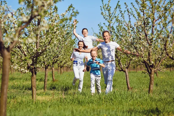 Famiglia felice che corre nel parco in estate — Foto Stock