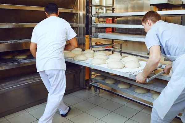 Los panaderos están empujando una bandeja de pan en el horno en la panadería . —  Fotos de Stock