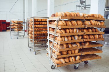 Fırında taze kahverengi ekmek ile tepsi.