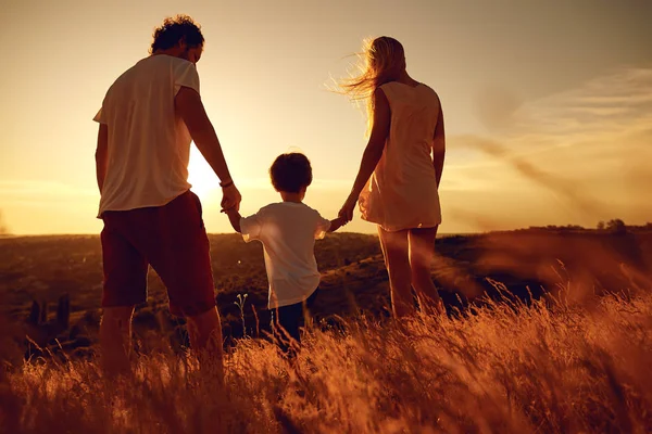 Rear view of family standing in nature at sunset — Stock Photo, Image