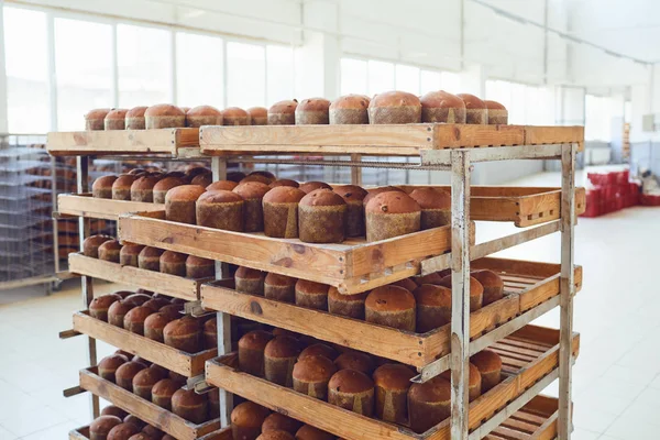 Лоток зі свіжим коричневим хлібом у пекарні . — стокове фото