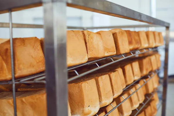 Plateau avec pain brun frais à la boulangerie . — Photo