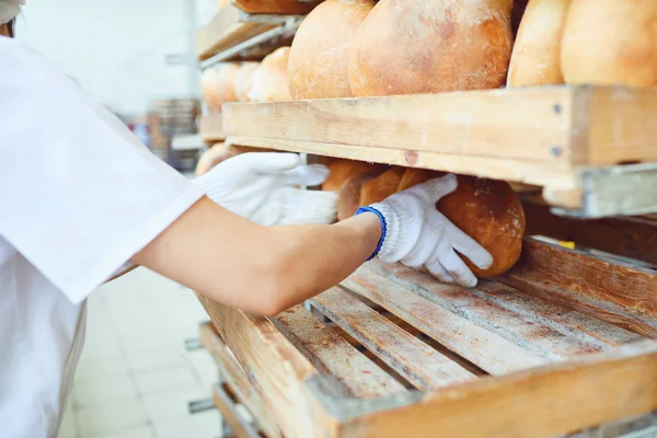 Le mani del fornaio posano il pane fresco in panetteria . — Foto Stock