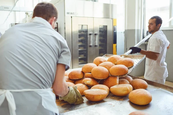 Fabrika işçileri konveyöre ekmek koyarak — Stok fotoğraf