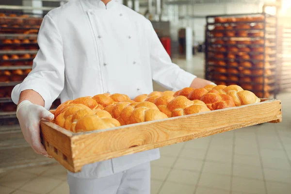 Le mani di panettieri tengono un vassoio con pane fresco. Concetto di panetteria . — Foto Stock