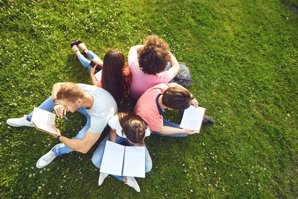 Students study sitting on green grass in a park in summer spring.