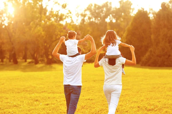 Visa bakifrån. En familj med barn vandrar på gräset i en park . — Stockfoto